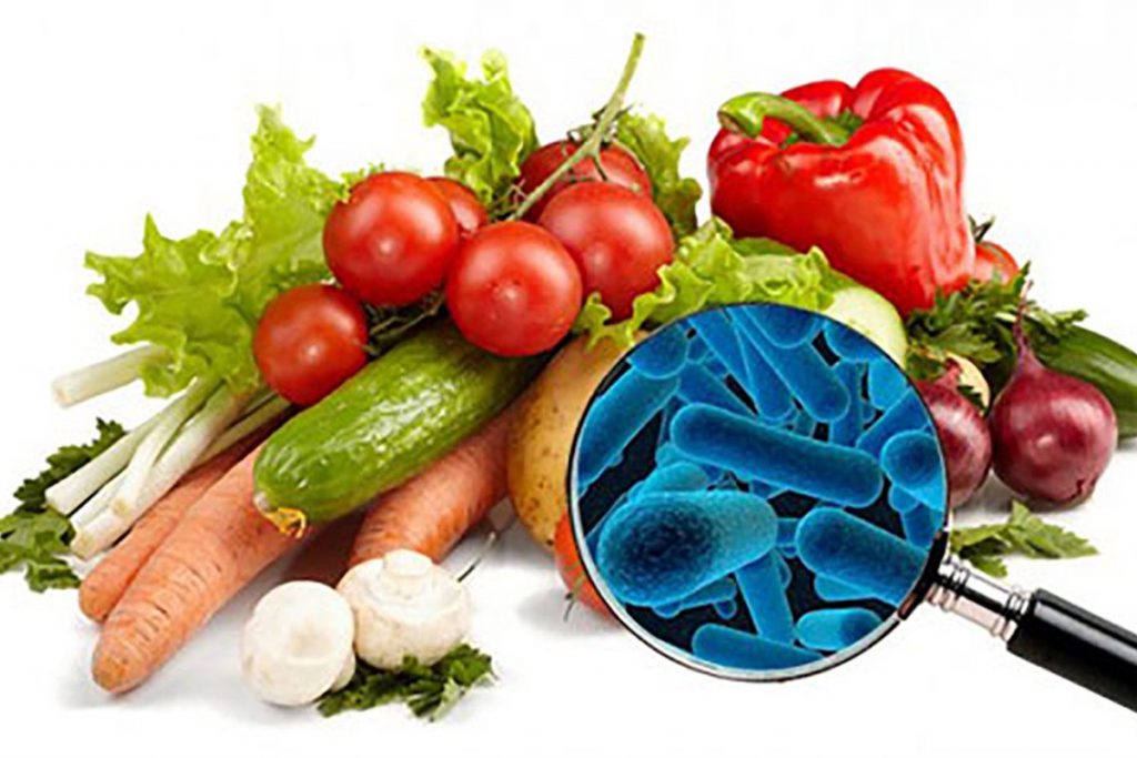 seguridad-alimentaria