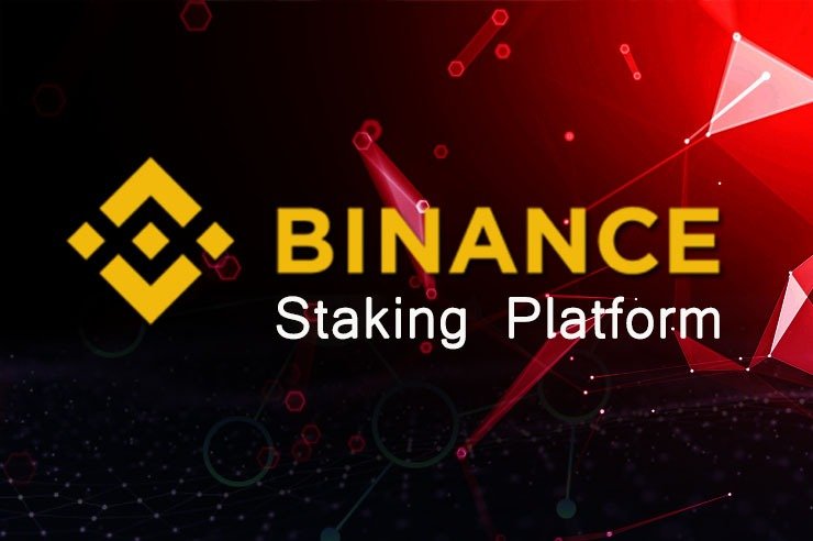 binance dot staking