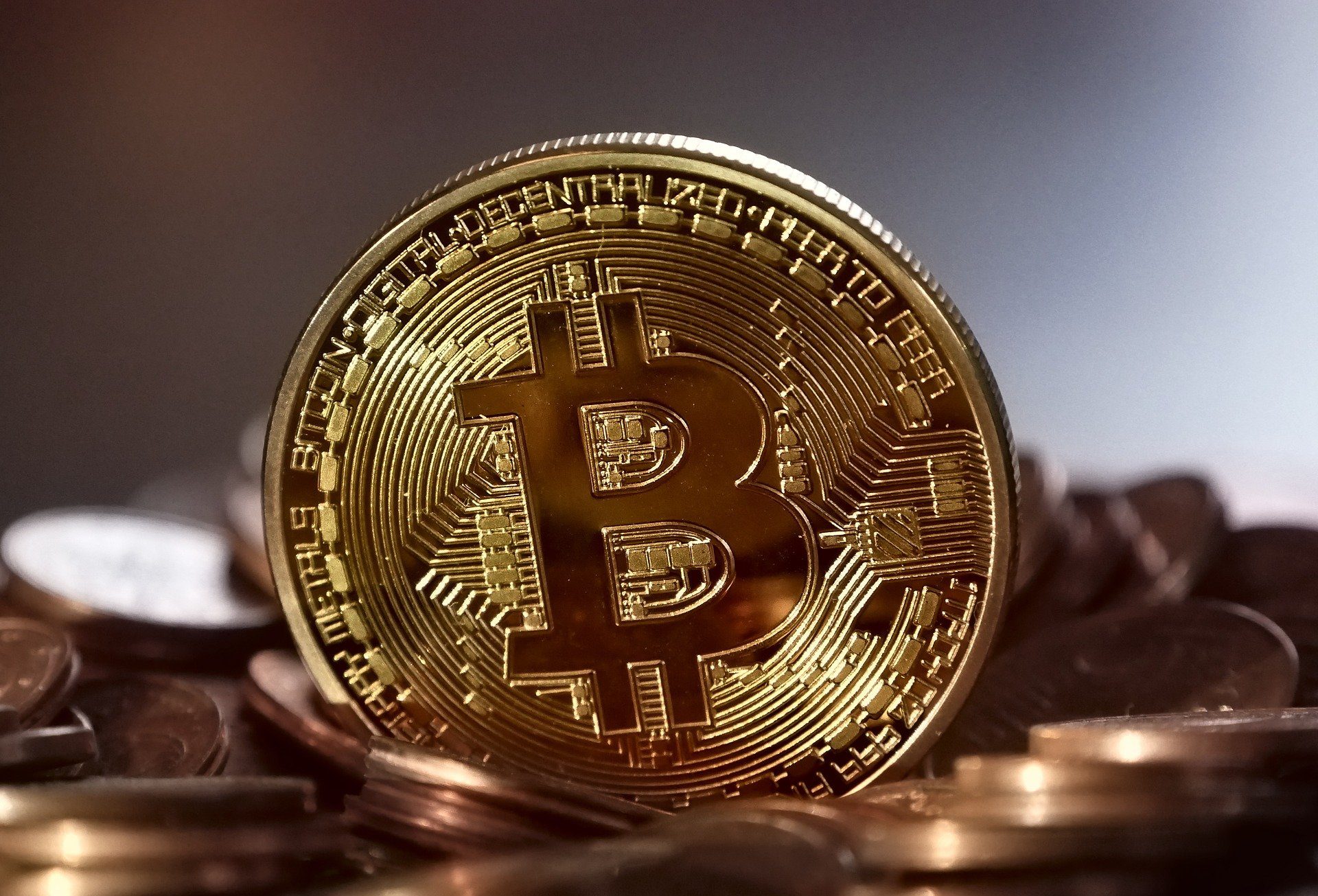 Alcalde de Miami consigue permisos vinculados a Bitcoin y Andrew Yang espera convertir a Nueva York en un centro para criptomonedas