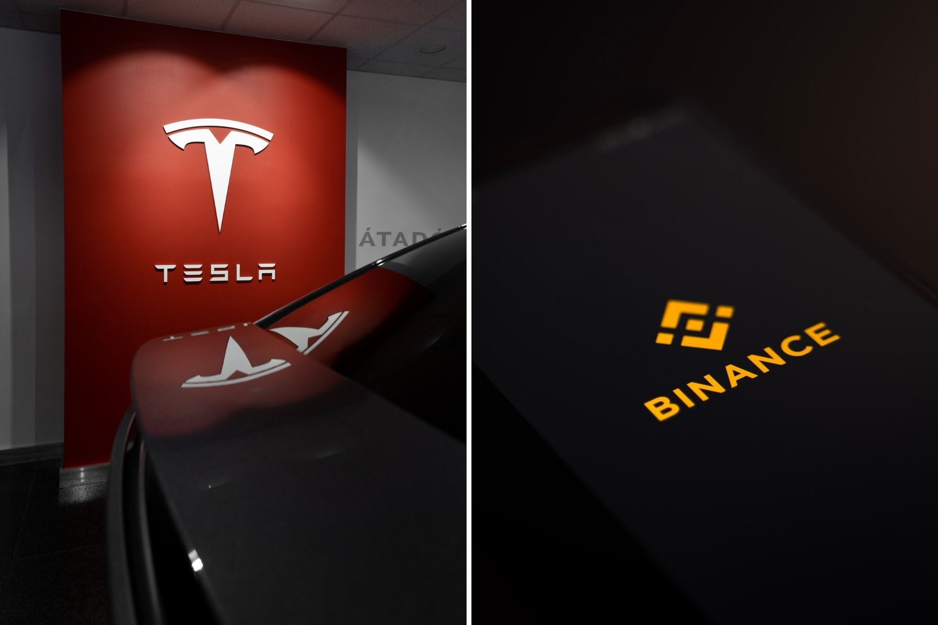 Binance Lanza Tokens De Acciones Negociables De Tesla Sin Comisiones En Su  Plataforma - Criptotendencias - Noticias De Bitcoin, Criptomonedas Y  Blockchain