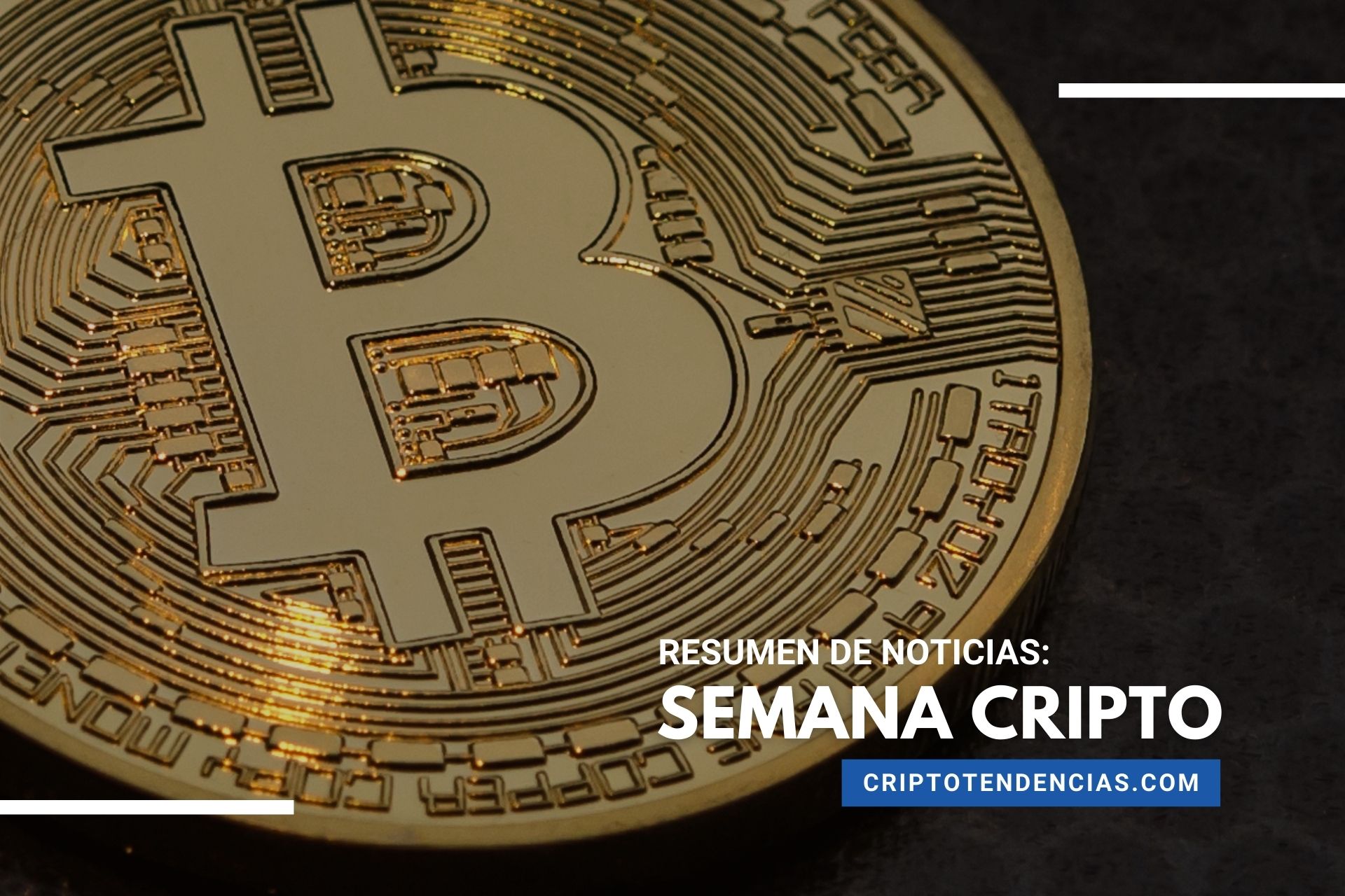 Revive Las Noticias Más Destacadas Sobre Bitcoin Y Las Criptomonedas En La  Semana Cripto - Criptotendencias - Noticias De Bitcoin, Criptomonedas Y  Blockchain