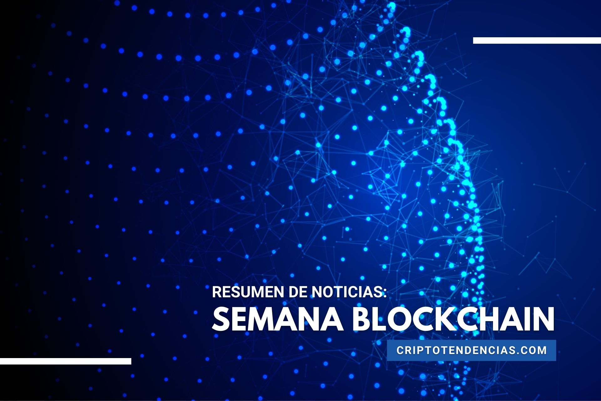 Semana Blockchain: Plant vs Undead, Axie Infinity, NFT y más