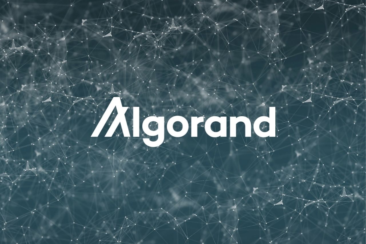 Con su nuevo fondo de 500 millones de dólares, Borderless Capital buscará acelerar las DeFi, los NFT y las Dapps en Algorand