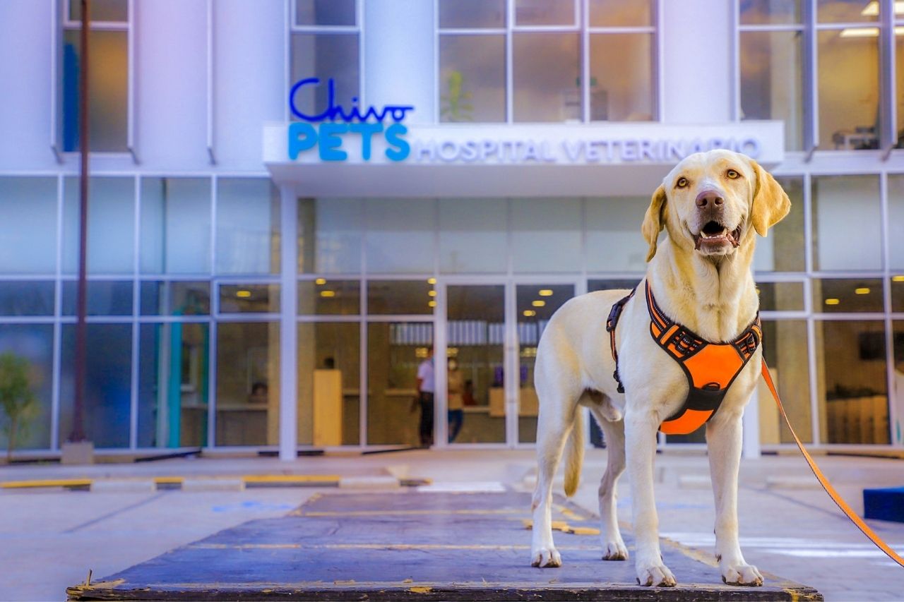 El Salvador inaugura Chivo Pets, el primer hospital veterinario del país financiado con Bitcoin