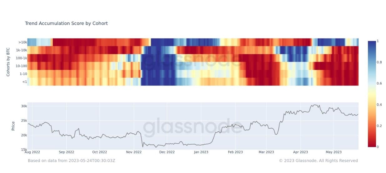 Ballenas de Bitcoin