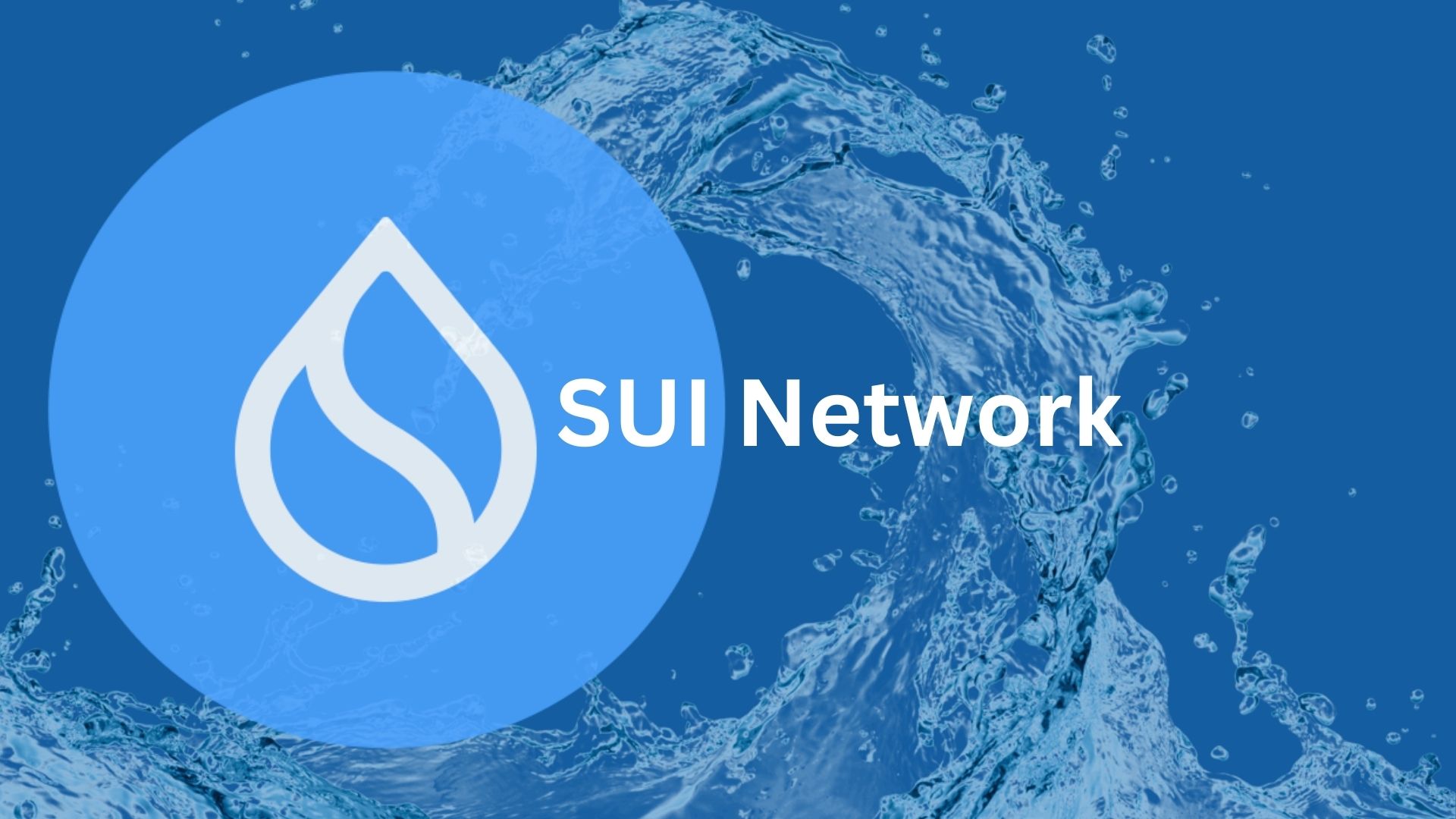sui network