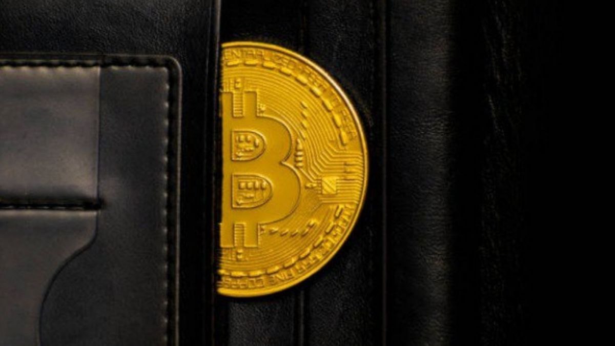 Seguridad Y Comodidad: Las 3 Mejores Wallet De Criptomonedas Para La  Segunda Mitad De 2023 - Criptotendencias - Noticias De Bitcoin,  Criptomonedas Y Blockchain