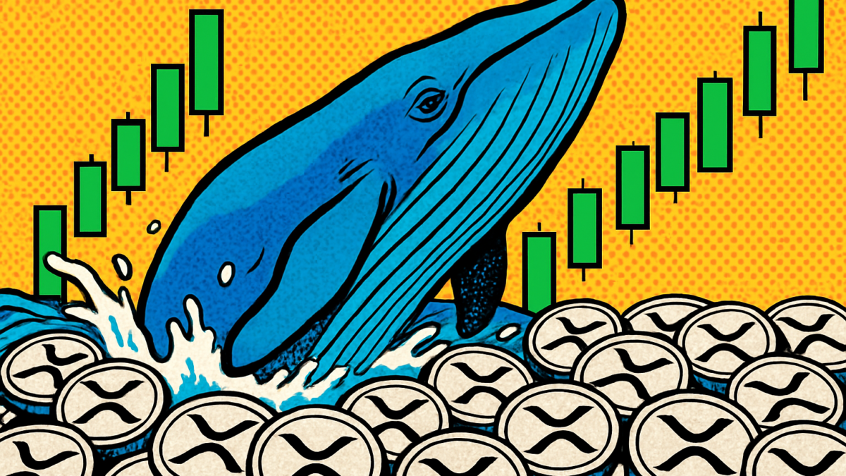 Ilustración de las compras de ballenas de XRP acumulando tokens durante la caída del mercado