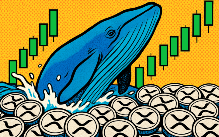 Compras de ballenas de XRP impulsan el rebote del token con millones acumulados en la caída